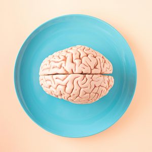 Brain